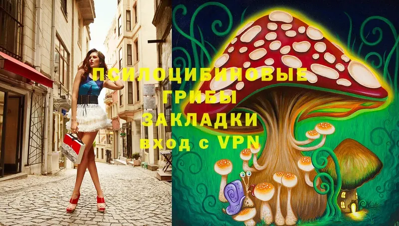 Псилоцибиновые грибы Psilocybe  Верхний Уфалей 